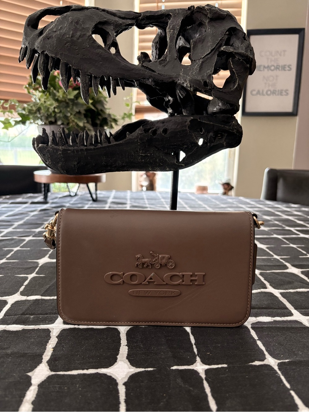 Coach Toni Crossbody Bag